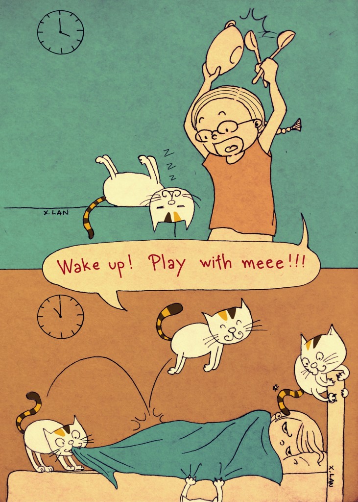 CatRoutine