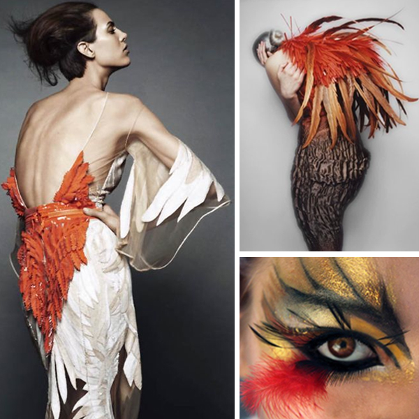 Cosmic phoenix