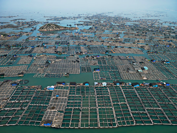 Marine Aquaculture #1 Luoyuan Bay, Fujian Province, China, 2012